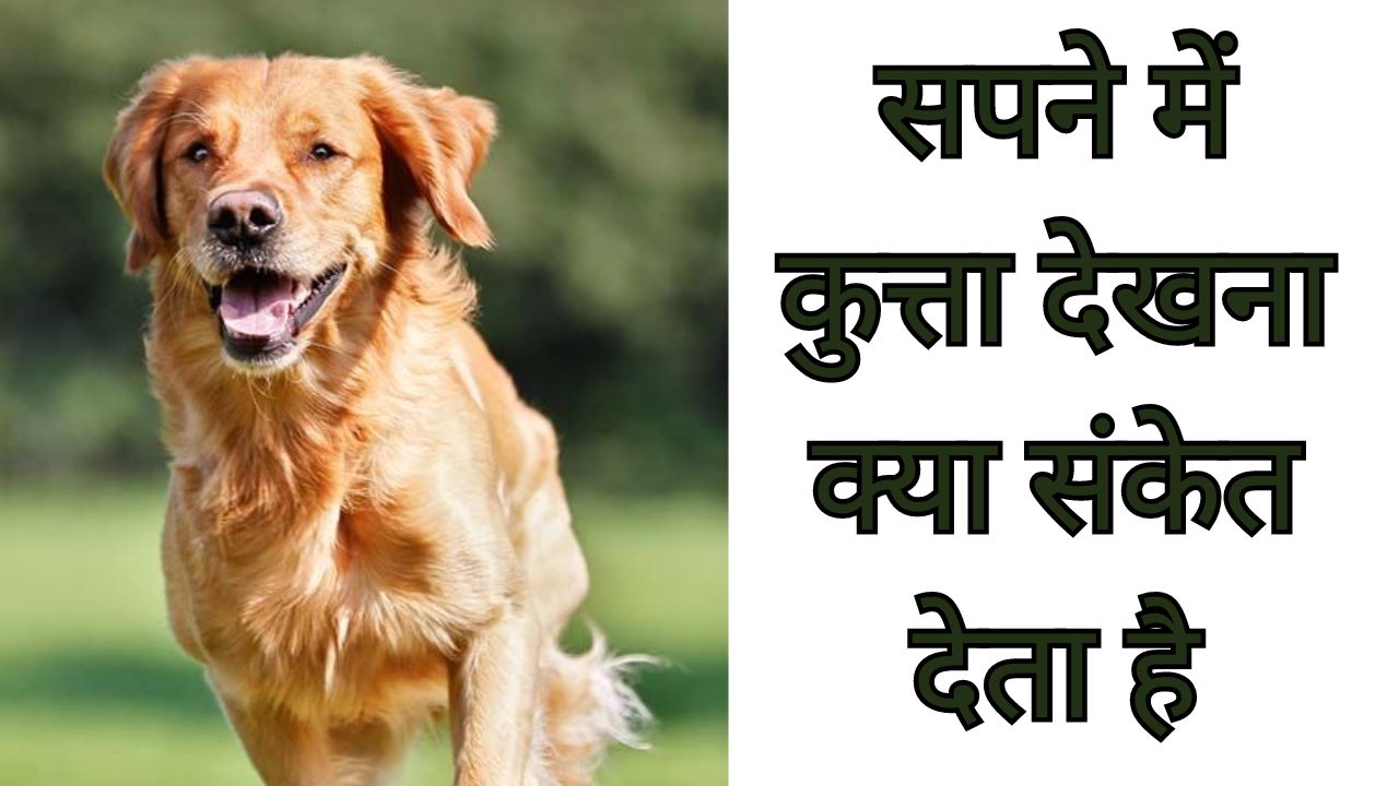 Sapne Mein kutta Dekhna